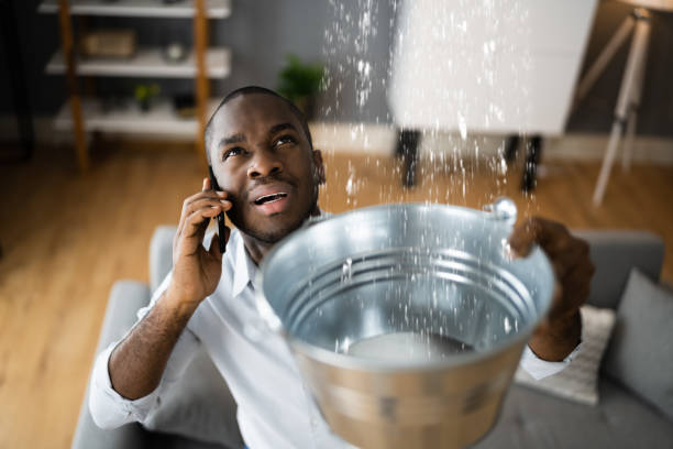 Best Mold removal after water damage  in Emma, NC