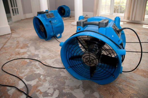 Carpet water damage restoration in Emma, NC