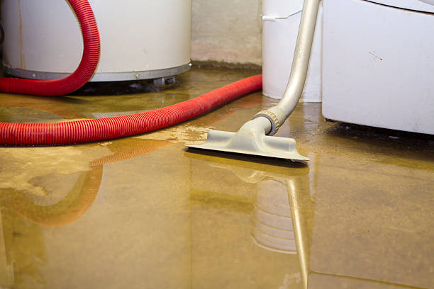 Water damage restoration experts in Emma, NC