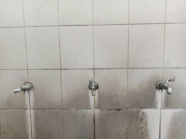 Best Sewage cleanup and water damage restoration  in Emma, NC