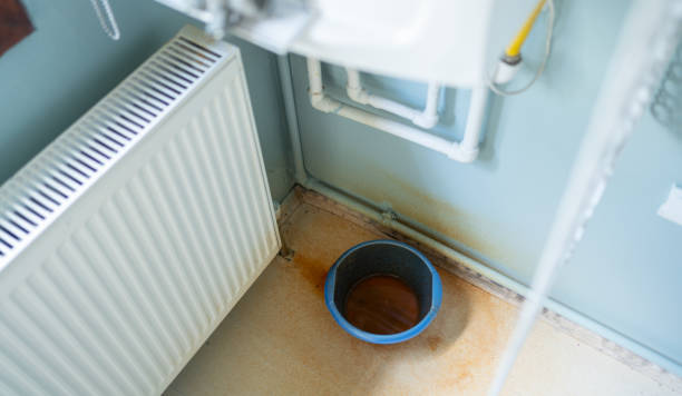 Best Basement water damage restoration  in Emma, NC