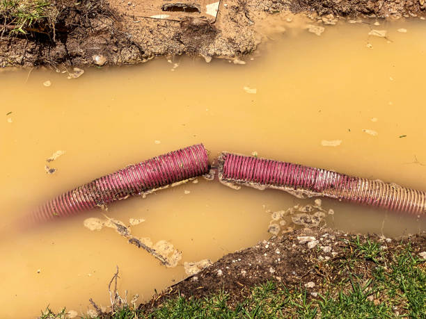 Best Water damage restoration near me  in Emma, NC