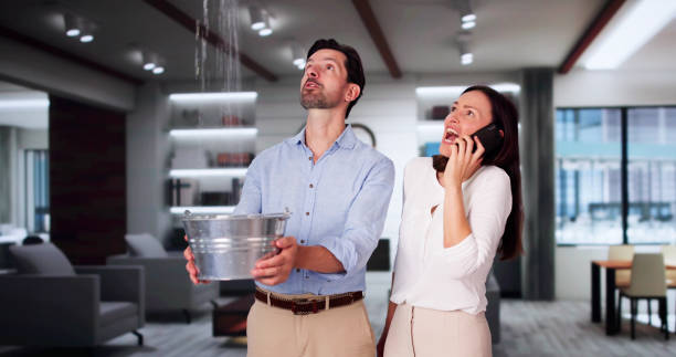 Best Local water damage restoration  in Emma, NC