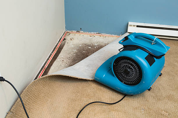 Best Fire Damage Restoration  in Emma, NC